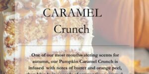 faire_b20_07 Pumpkin Caramel Crunch Large Breakaway Melt || Wax Melt ||