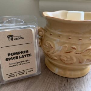 faire_b20_20 Pumpkin Spice Latte Soy Wax Melt